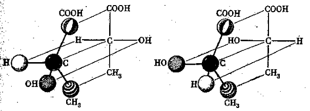 Основные теоретические положения органической химии. Насыщенные (предельные) углеводороды