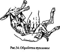 Описание: http://www.agrogalaxy.ru/content/sprav/goats/image034.jpg